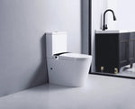 Smart Toilet vs. Smart Bidet Seat: Which Is Right for Your New Zealand Bathroom?