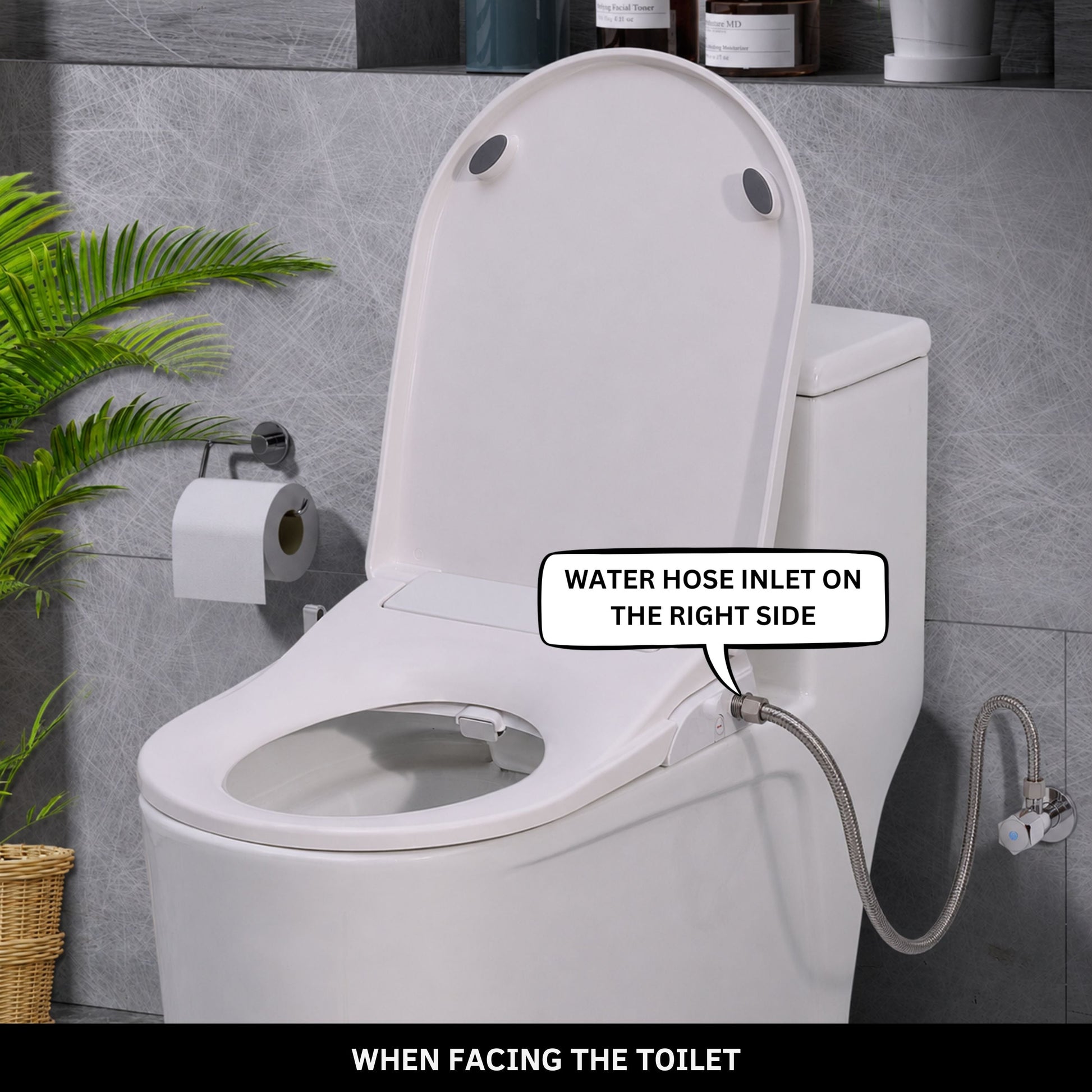 Toilet with Right Water Inlet