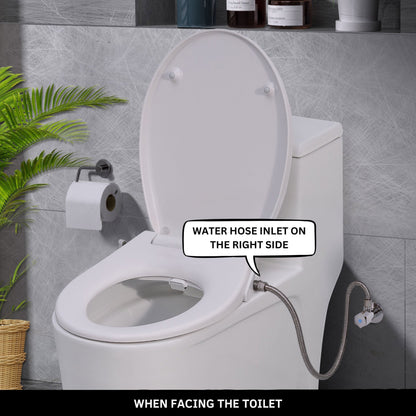 Toilet with Right Water Inlet